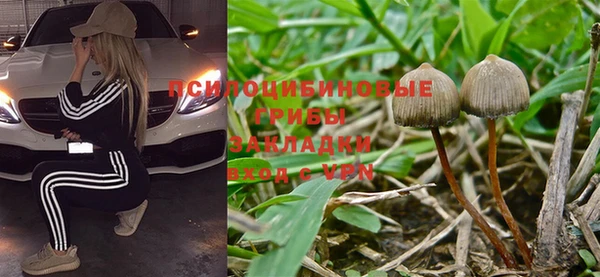 меф Щучье