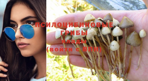 дмт Яранск